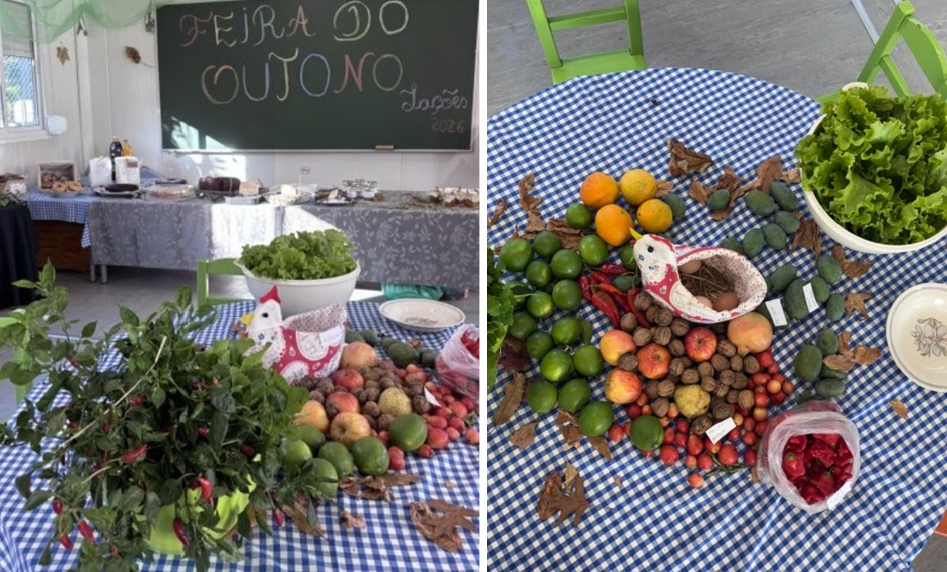 feiraoutono